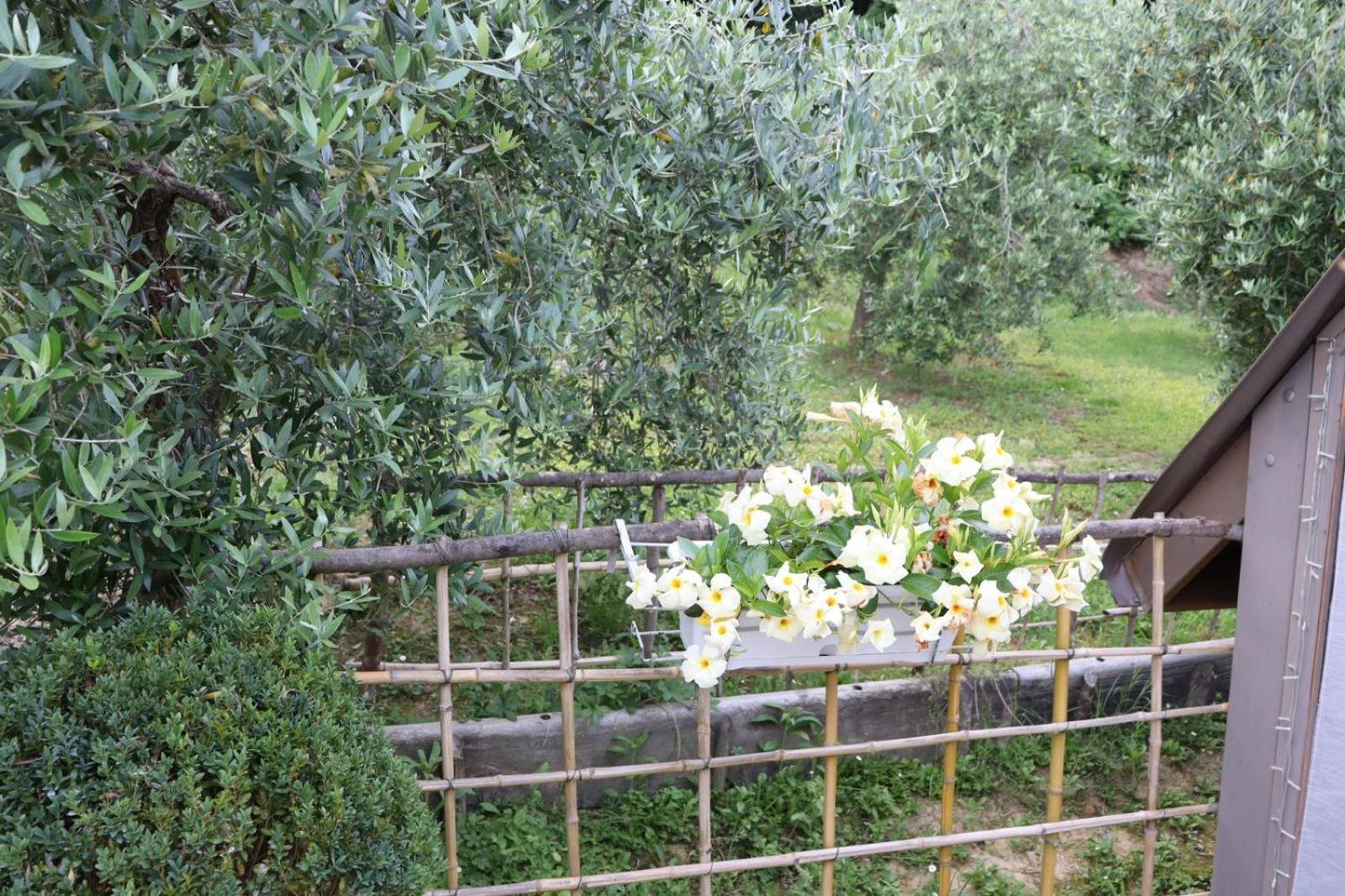 Cevoli Country Resort Lari Kültér fotó