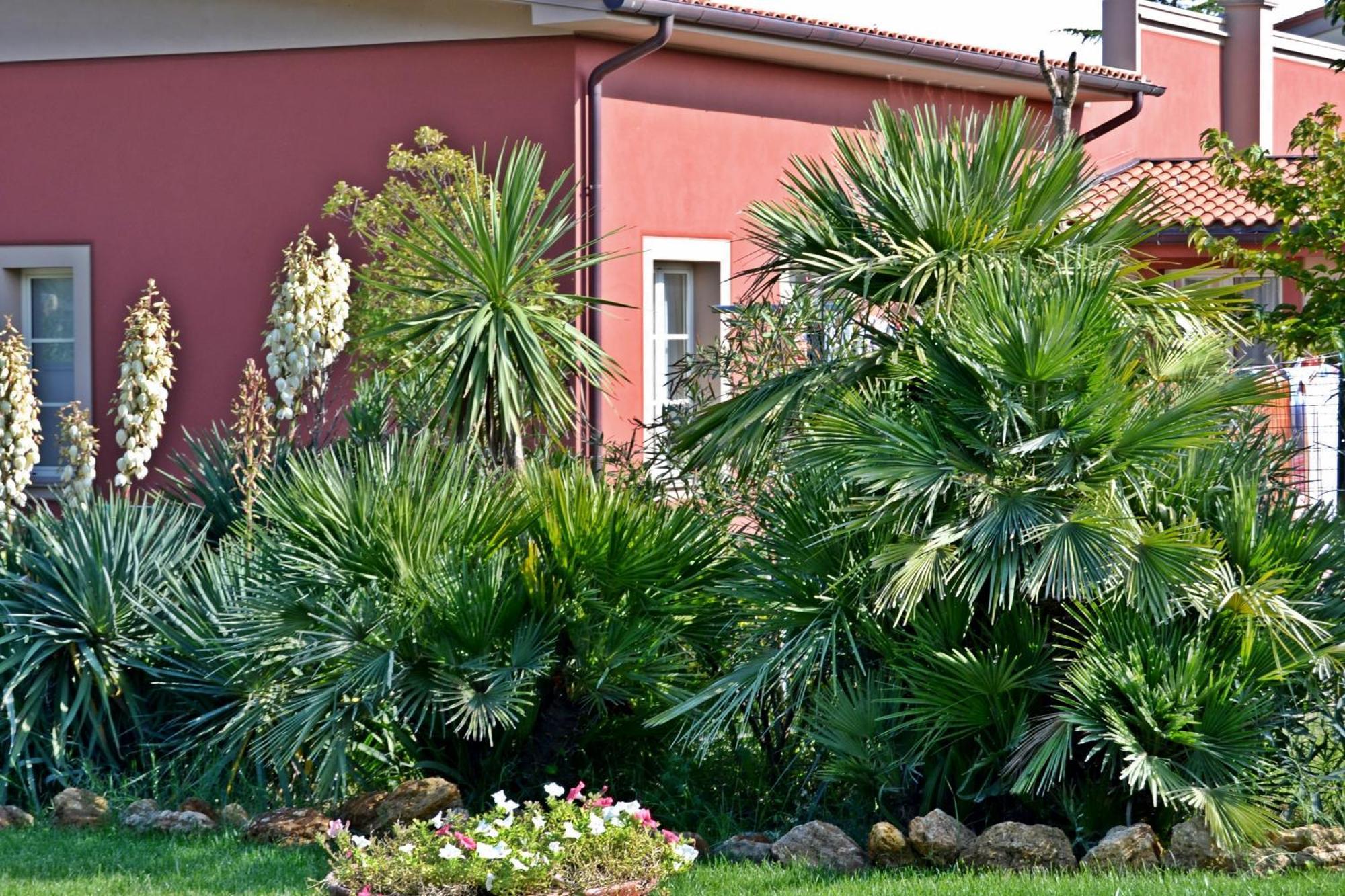 Cevoli Country Resort Lari Kültér fotó