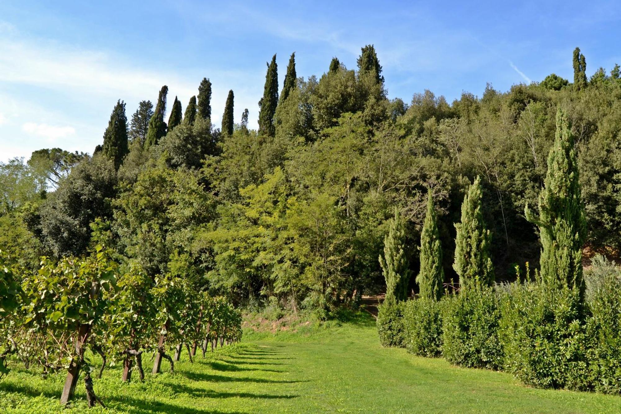 Cevoli Country Resort Lari Kültér fotó