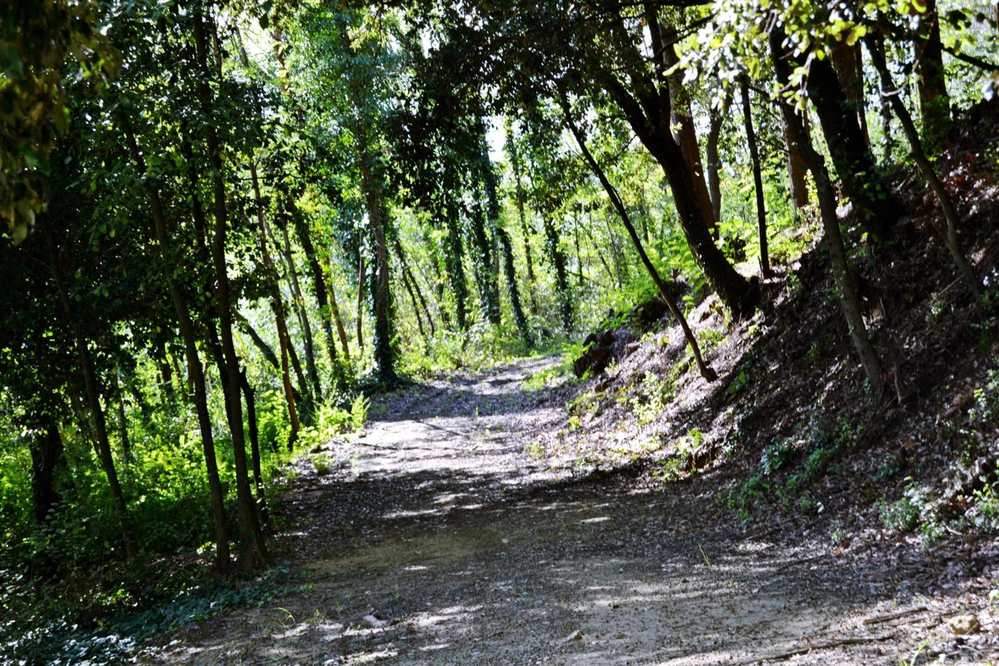 Cevoli Country Resort Lari Kültér fotó